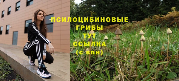 ПСИЛОЦИБИНОВЫЕ ГРИБЫ Алзамай