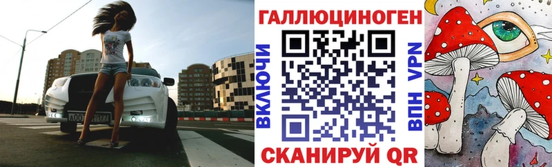 Псилоцибиновые грибы Psilocybe  Купить закладки  Мценск 